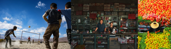 第八届京东影像大赛落幕 全民创作助推影像文化普及