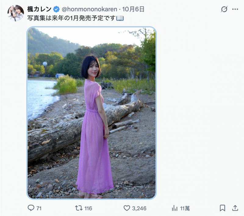 「我没有忘了X(社群)喔」、但，楓カレン(枫花恋)何时有新片？