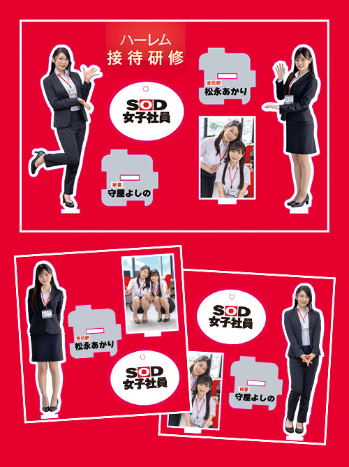 松永あかり(松永明里)、守屋よしの(守屋芳乃)共演作品SDJS-339发布！11月共演天花板！两大女子社员合体啦！