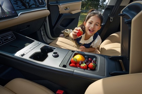 2026款宋Pro DM-i 220公里长续航发布 限时11.98万元起