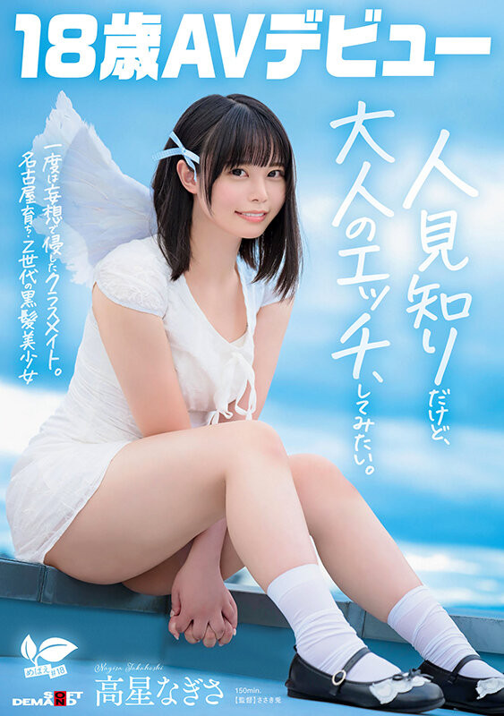 高星渚(高星なぎさ)出道作品番号及封面，高星渚个人简介